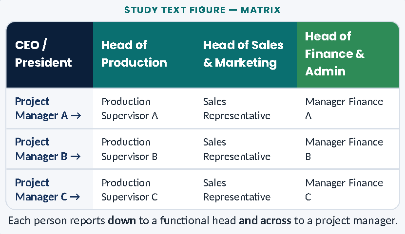 Diagram: STUDY TEXT FIGURE — MATRIX Each person reports down to a functional head and across to a project manager. Head of Finance & Admin Head of Production Head of Sales & Marketing CEO / President Manager Finance B Production Supervisor B Sales Representative Manager Finance A Manager Finance C Production Supervisor A Sales Representative Production Supervisor C Sales Representative Project Manager B → Project Manager A → Project Manager C →