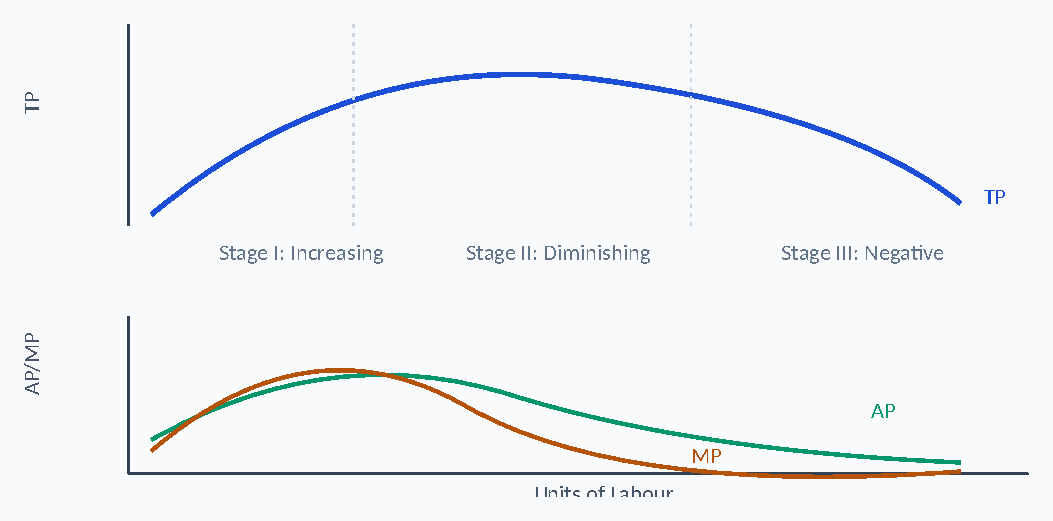 Diagram: P T TP Stage I: Increasing Stage II: Diminishing Stage III: Negative P M / P A AP MP Units of Labour